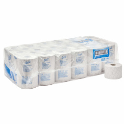 8517 Туалетная бумага в стандартных рулонах Scott® Essential 600 2 слоя (36 рул х 72 м)