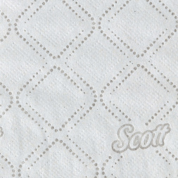 8517 Туалетная бумага в стандартных рулонах Scott® Essential 600 2 слоя (36 рул х 72 м)
