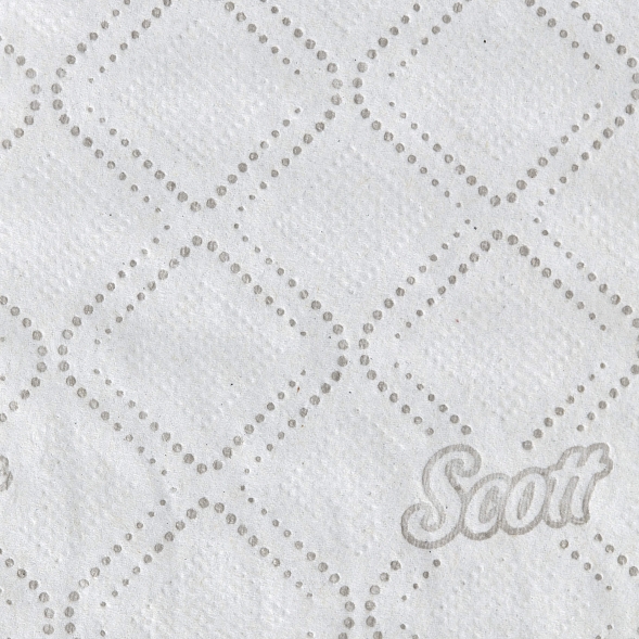Туалетная бумага в стандартных рулонах 8517 Scott Essential 600 двухслойная от Kimberly-Clark Professional (36 рул х 72 м)