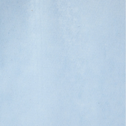 6668 Бумажные полотенца в рулонах Scott® Xtra голубые 1 слой (6 рул х 304 м)