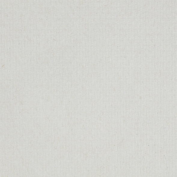 6687 Бумажные полотенца в рулонах Scott XL белые однослойные (6 рул х 354 м)