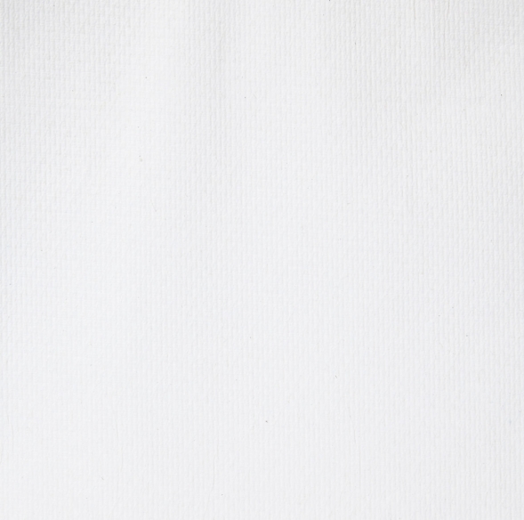 6617 Бумажные полотенца в пачках Scott® Essential белые 1 слой (15 пач х 340 л)