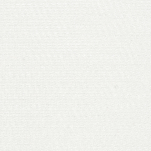 7491 Протирочный материал в рулонах с контролем выпуска WypAll® L10 однослойный белый (6 рул х 152 м)