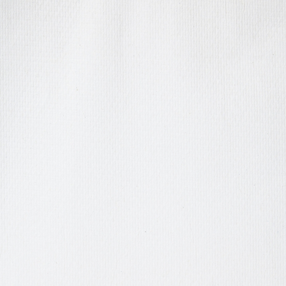 6663 Бумажные полотенца в пачках Scott Performance белые однослойные (15 пач х 212 л)