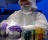 Нитриловые перчатки Kimtech™ Purple Nitrile 24см фиолетовые (900-1000 штук)