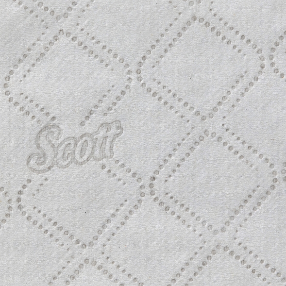 Туалетная бумага в пачках 8508 Scott двухслойная от Kimberly-Clark Professional (36 пач х 250 л)